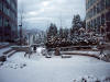 january_snow,_2012_19.JPG (573204 bytes)
