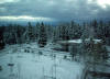 january_snow,_2012_24.JPG (692519 bytes)