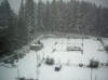 january_snow,_2012_34.JPG (430509 bytes)