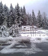 january_snow,_2012_41.jpg (739719 bytes)