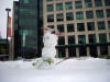 january_snow,_2012_44.JPG (707614 bytes)