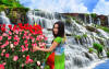 phuong_flowers_waterfall.jpg (833975 bytes)